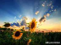 南京众昂通信科技有限公司