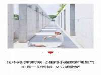 南京众昂通信科技有限公司