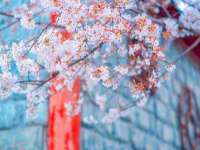 南京众昂通信科技有限公司