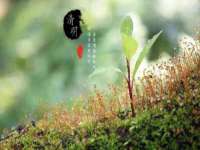 南京众昂通信科技有限公司
