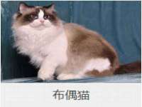 南京众昂通信科技有限公司