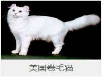 南京众昂通信科技有限公司