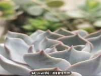 南京众昂通信科技有限公司