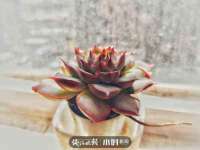 南京众昂通信科技有限公司