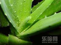 南京众昂通信科技有限公司