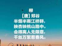 南京众昂通信科技有限公司