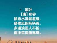 南京众昂通信科技有限公司