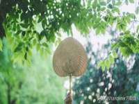 南京众昂通信科技有限公司