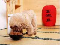 南京众昂通信科技有限公司