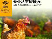南京众昂通信科技有限公司