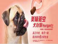 南京众昂通信科技有限公司