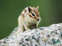 南京众昂通信科技有限公司