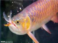 南京众昂通信科技有限公司