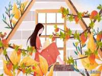 南京众昂通信科技有限公司