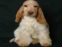 南京众昂通信科技有限公司